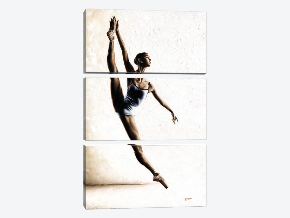 Leap Of Faith by Richard Young 3-piece Canvas Print