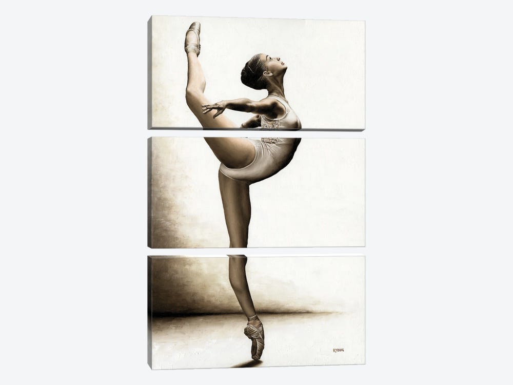 Musing Dancer by Richard Young 3-piece Canvas Artwork