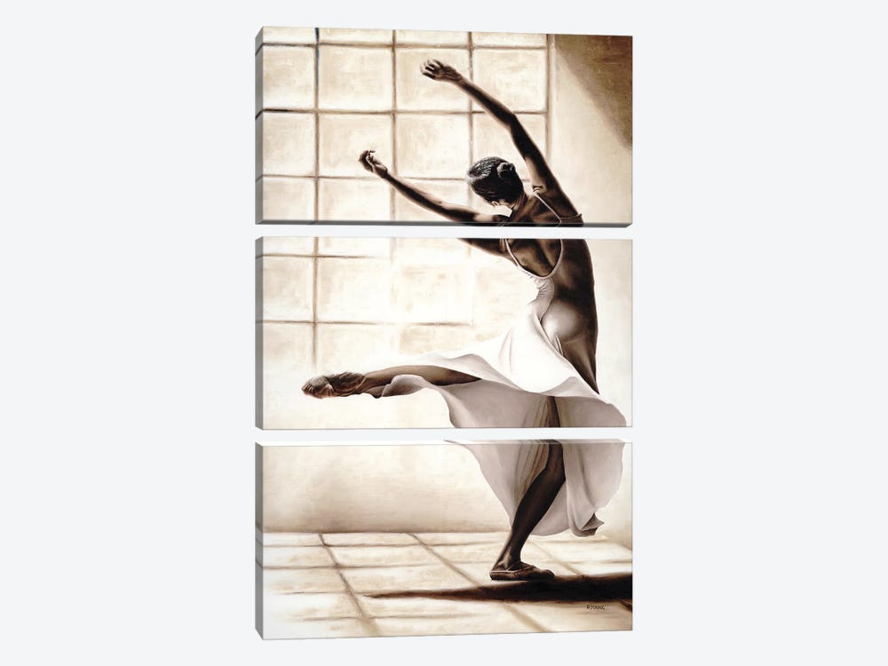 Dance Finesse by Richard Young 3-piece Canvas Print