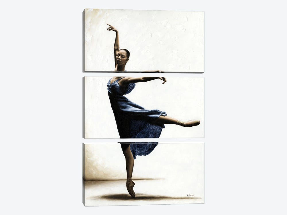 Refined Grace by Richard Young 3-piece Canvas Art