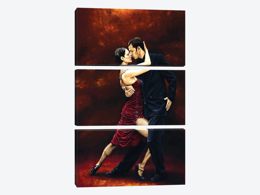 That Tango Moment by Richard Young 3-piece Canvas Artwork