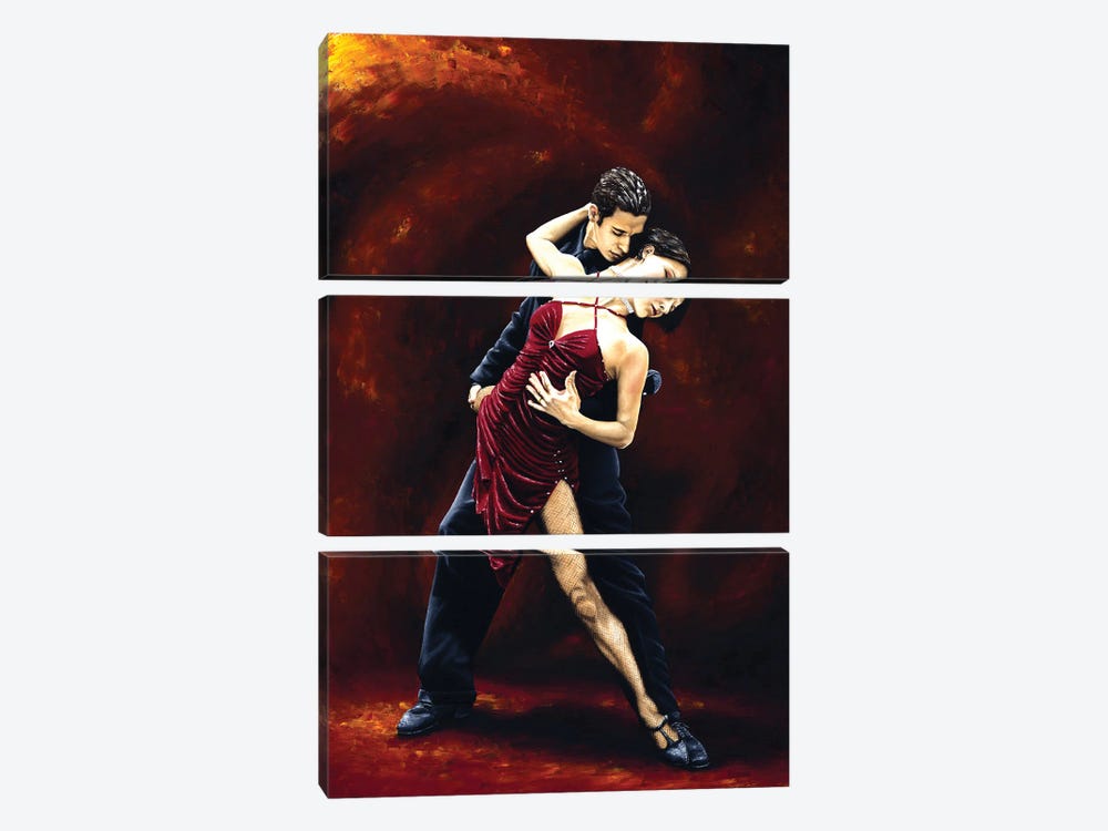 The Passion Of Tango by Richard Young 3-piece Canvas Art
