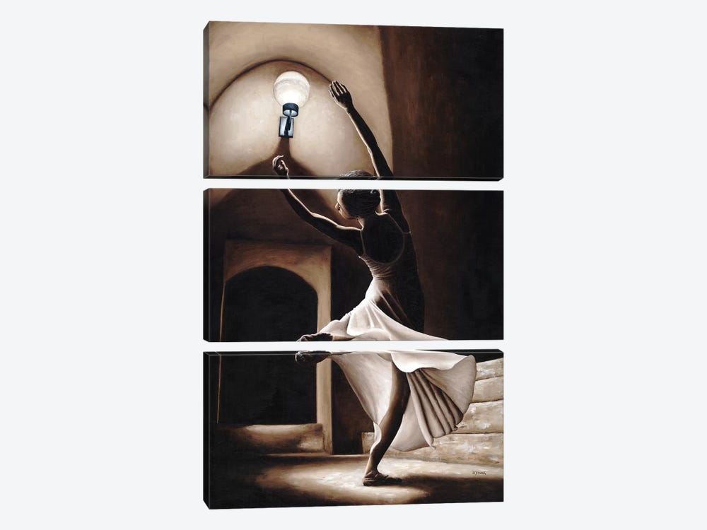 Dance Seclusion by Richard Young 3-piece Canvas Wall Art