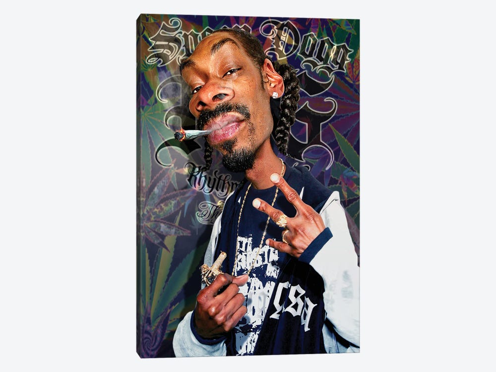 Snoop Dogg II by Rodney Pike 1-piece Canvas Art