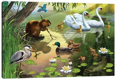 On The Pond Canvas Art Print - Heron Art