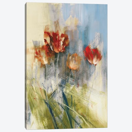 Tulips Canvas Print #SAD30} by Simon Addyman Art Print