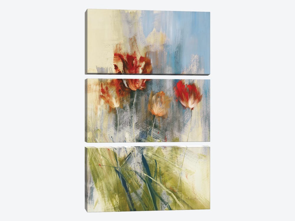 Tulips by Simon Addyman 3-piece Canvas Art