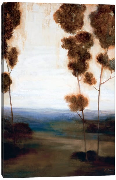 Through The Trees I Canvas Art Print - Simon Addyman