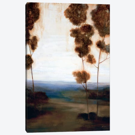 Through The Trees I Canvas Print #SAD44} by Simon Addyman Canvas Art Print