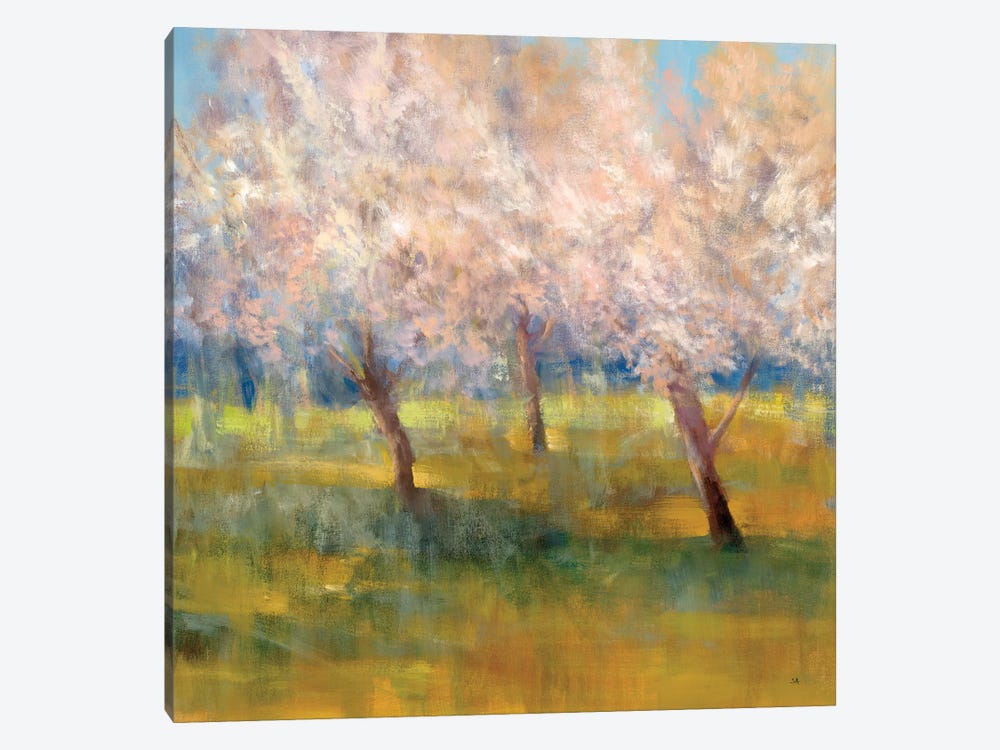 Cherry Blossoms by Simon Addyman 1-piece Canvas Print
