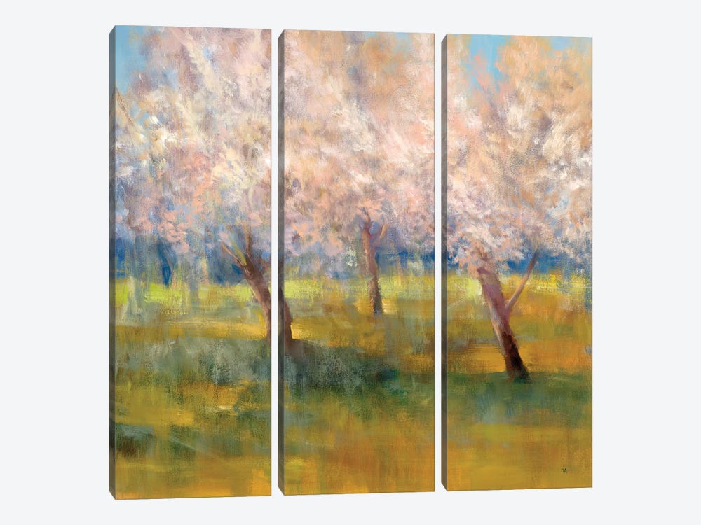 Cherry Blossoms by Simon Addyman 3-piece Canvas Print