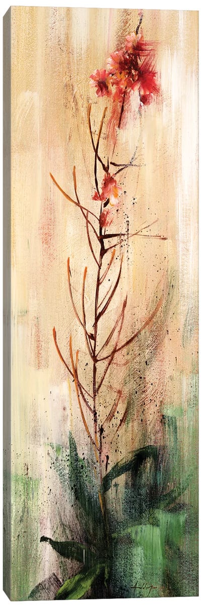 Fireweed I Canvas Art Print
