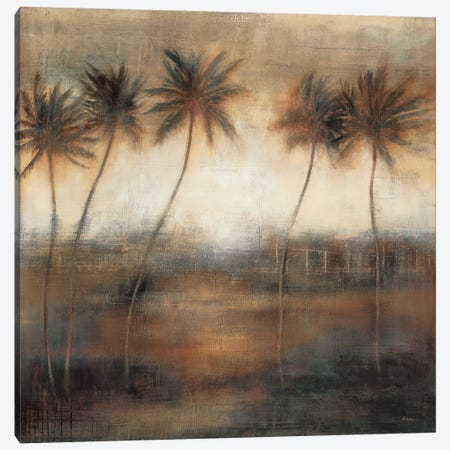 Five Palms Canvas Print #SAD9} by Simon Addyman Art Print