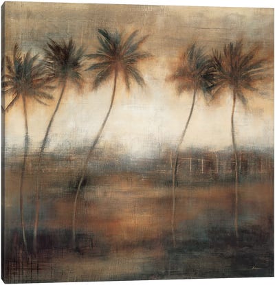 Five Palms Canvas Art Print - Simon Addyman