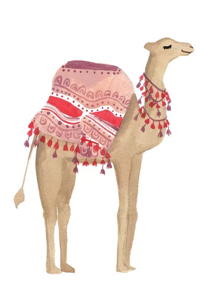 Camels: Happy Camel I by Sabina Fenn