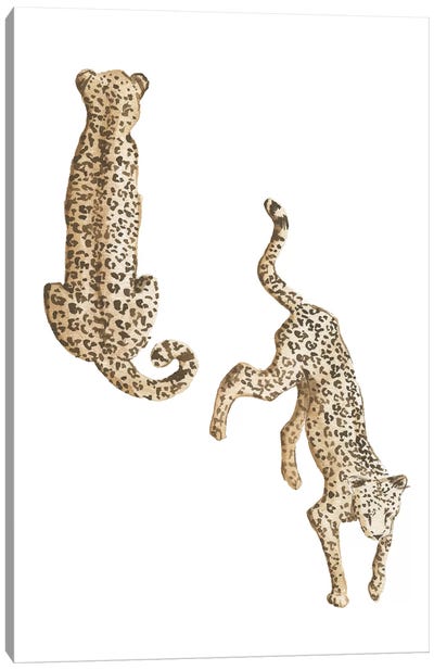 Leopards Canvas Art Print - Leopard Art