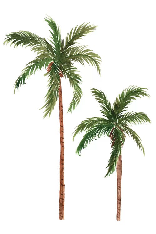 Twin Palms by Sabina Fenn wall art