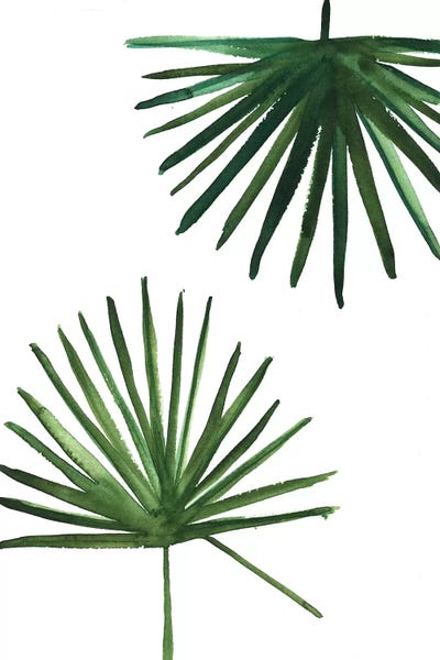 Sabina Fenn: Windmill Palms by Sabina Fenn