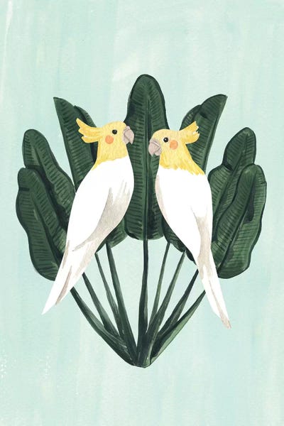 Sabina Fenn: Cockatiels by Sabina Fenn