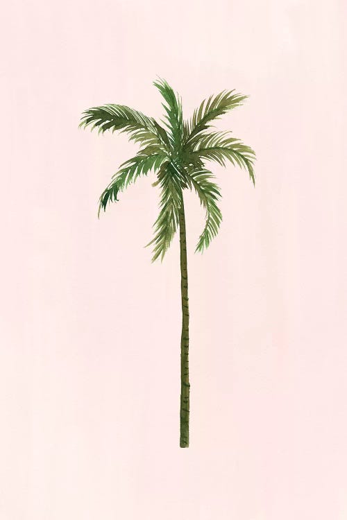 Palm Tree by Sabina Fenn wall art
