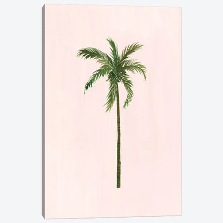 Palm Tree Canvas Print #SAF175} by Sabina Fenn Art Print