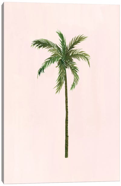 Palm Tree Canvas Art Print - Sabina Fenn