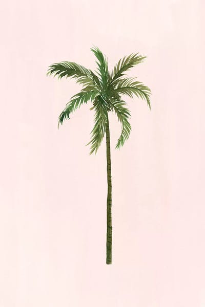 Sabina Fenn: Palm Tree by Sabina Fenn