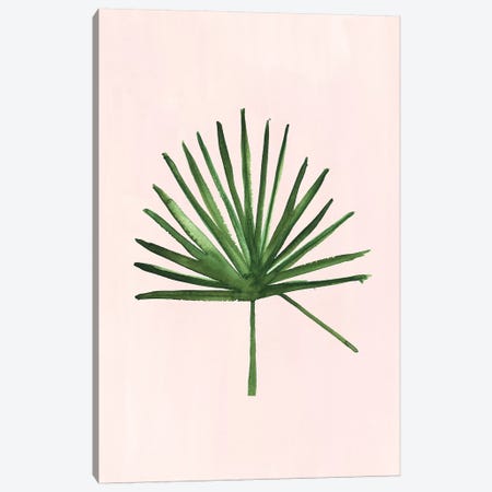 Windmill Palm Canvas Print #SAF176} by Sabina Fenn Canvas Print
