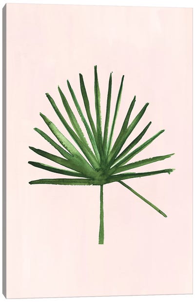 Windmill Palm Canvas Art Print - Sabina Fenn