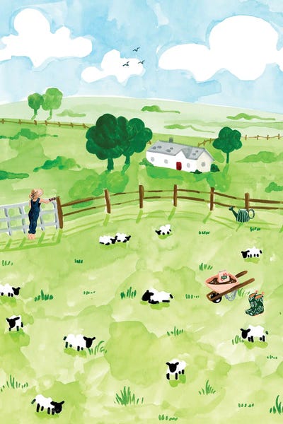 Sheep: Sheep Field by Sabina Fenn