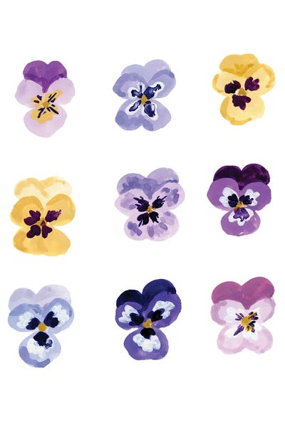 Pansies by Sabina Fenn canvas print