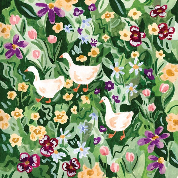 Wildflowers: Ducks And Wildflowers by Sabina Fenn
