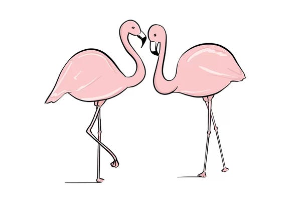 Flamingos: Flamingo Lovers by Sabina Fenn
