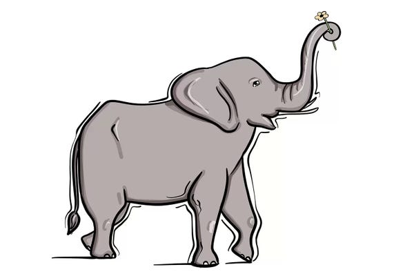 Sabina Fenn: Baby Elephant by Sabina Fenn