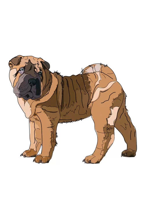 Shar Pei