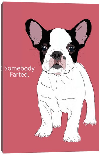 Somebody Farted Canvas Art Print - French Bulldog Art