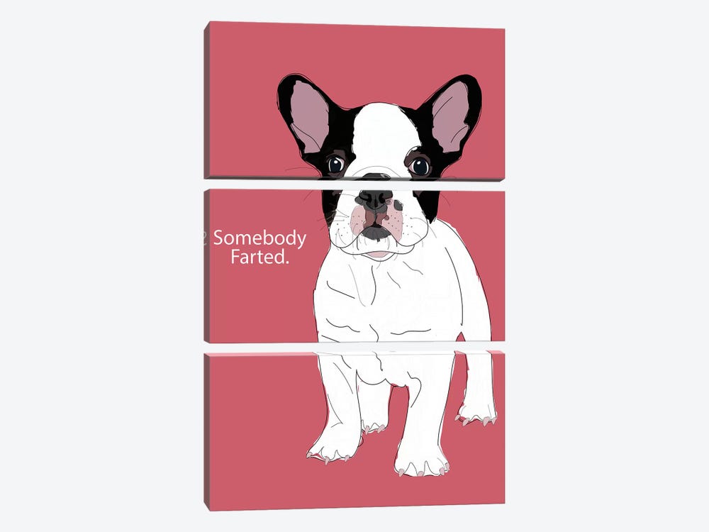 Somebody Farted by Sketch and Paws 3-piece Canvas Print