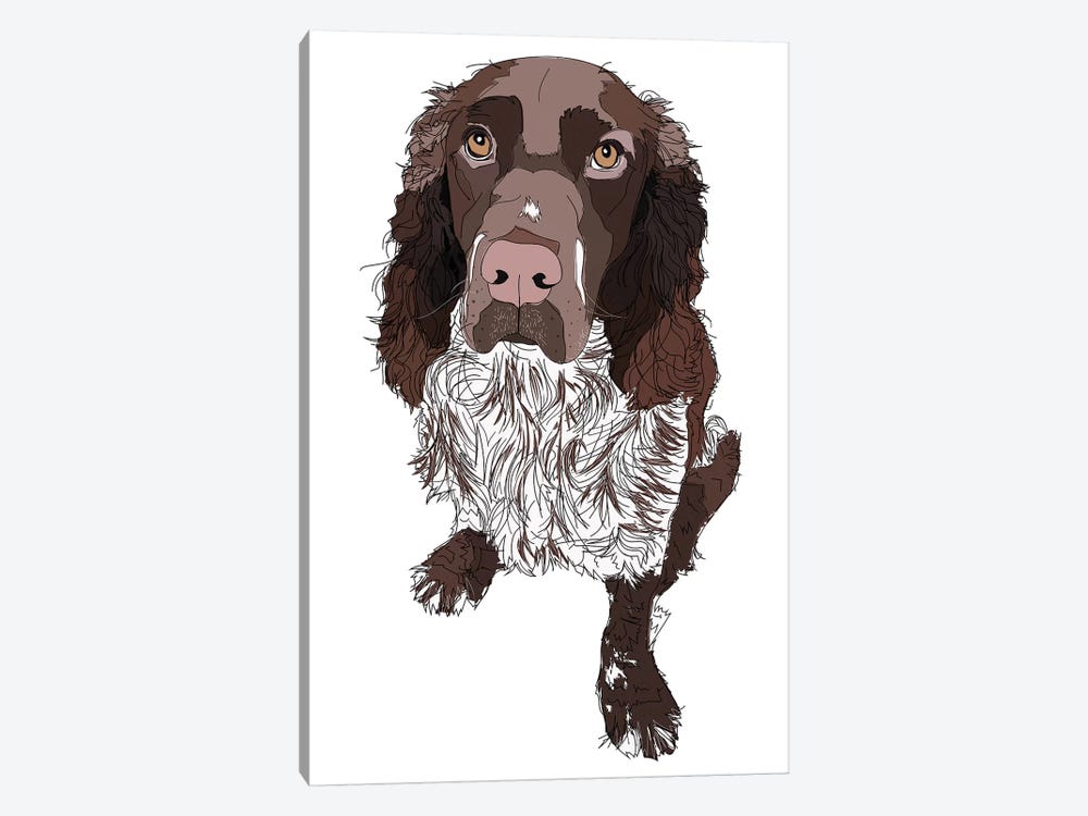 Springer Spaniel by Sketch and Paws 1-piece Canvas Artwork
