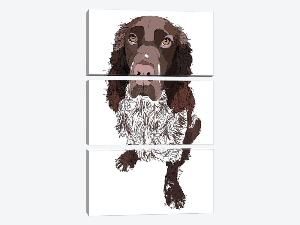 Springer Spaniel by Sketch and Paws 3-piece Canvas Wall Art