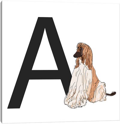 A Is For Afghan Hound Canvas Art Print - Sketch and Paws