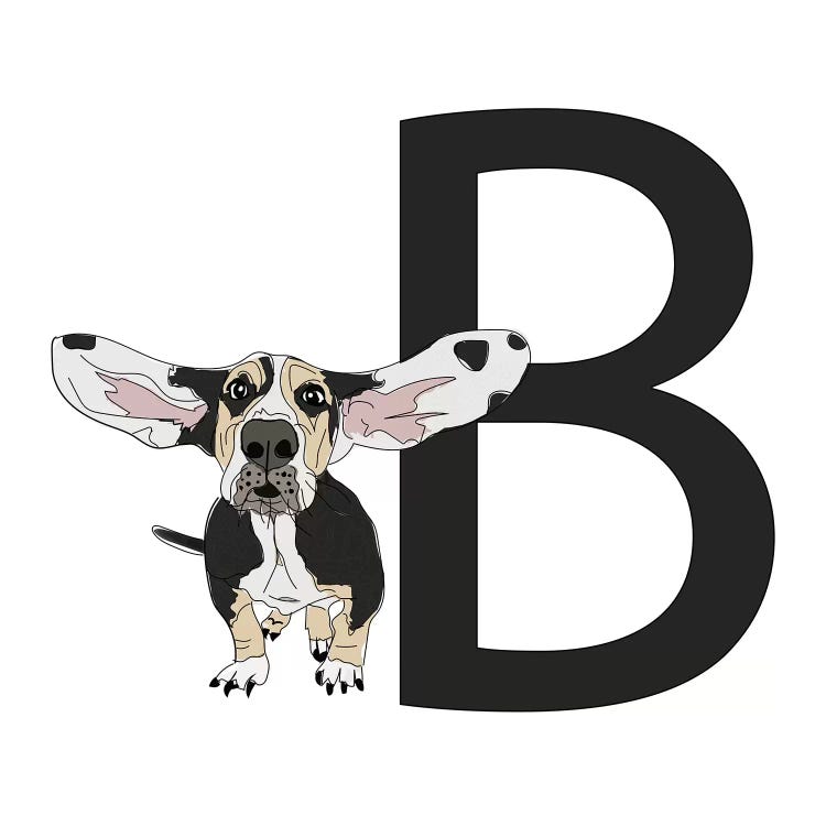 B Is For Basset Hound