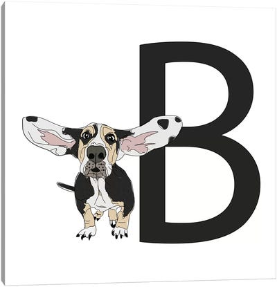 B Is For Basset Hound Canvas Art Print - Sketch and Paws