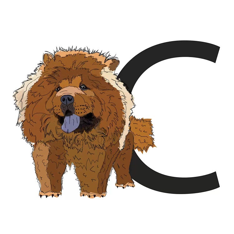 C Is For Chow Chow