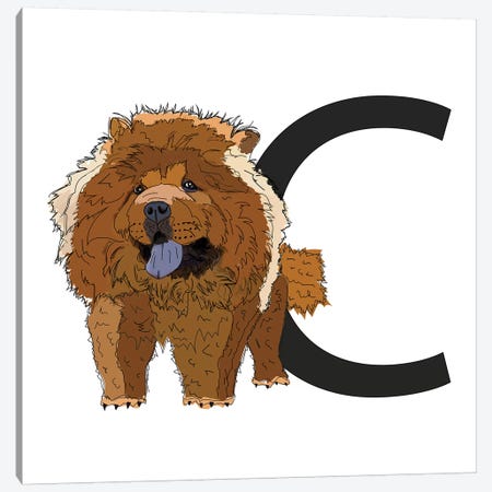 C Is For Chow Chow Canvas Print #SAP112} by Sketch and Paws Canvas Art Print