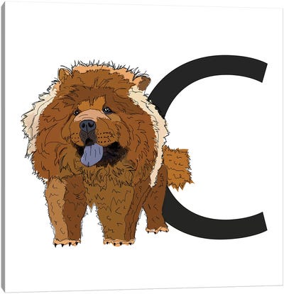 C Is For Chow Chow Canvas Art Print - Sketch and Paws