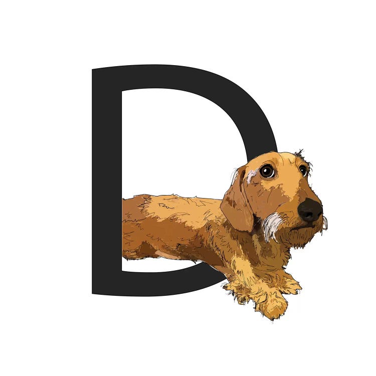 D Is For Dachshund