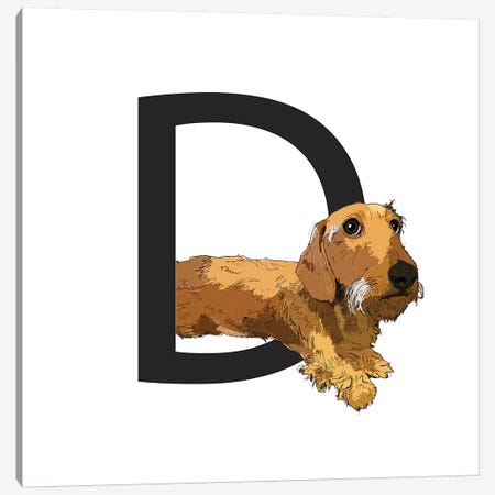 D Is For Dachshund Canvas Print #SAP113} by Sketch and Paws Canvas Print