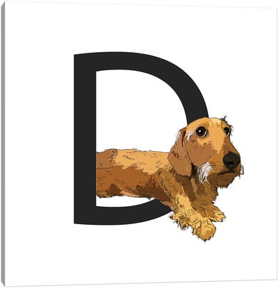 D Is For Dachshund Canvas Art Print - Letter D