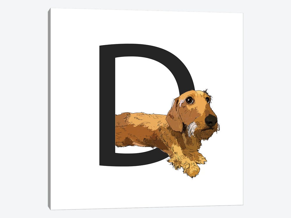 D Is For Dachshund by Sketch and Paws 1-piece Canvas Wall Art