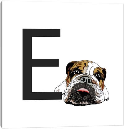 E Is For English Bulldog Canvas Art Print - Bulldog Art